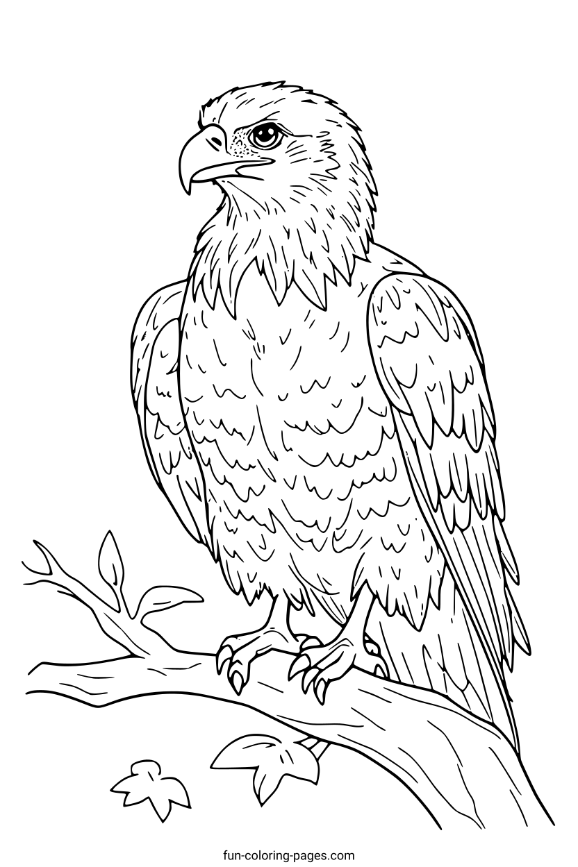 Bald Eagle on Branch – free printable coloring page, available as PDF and SVG