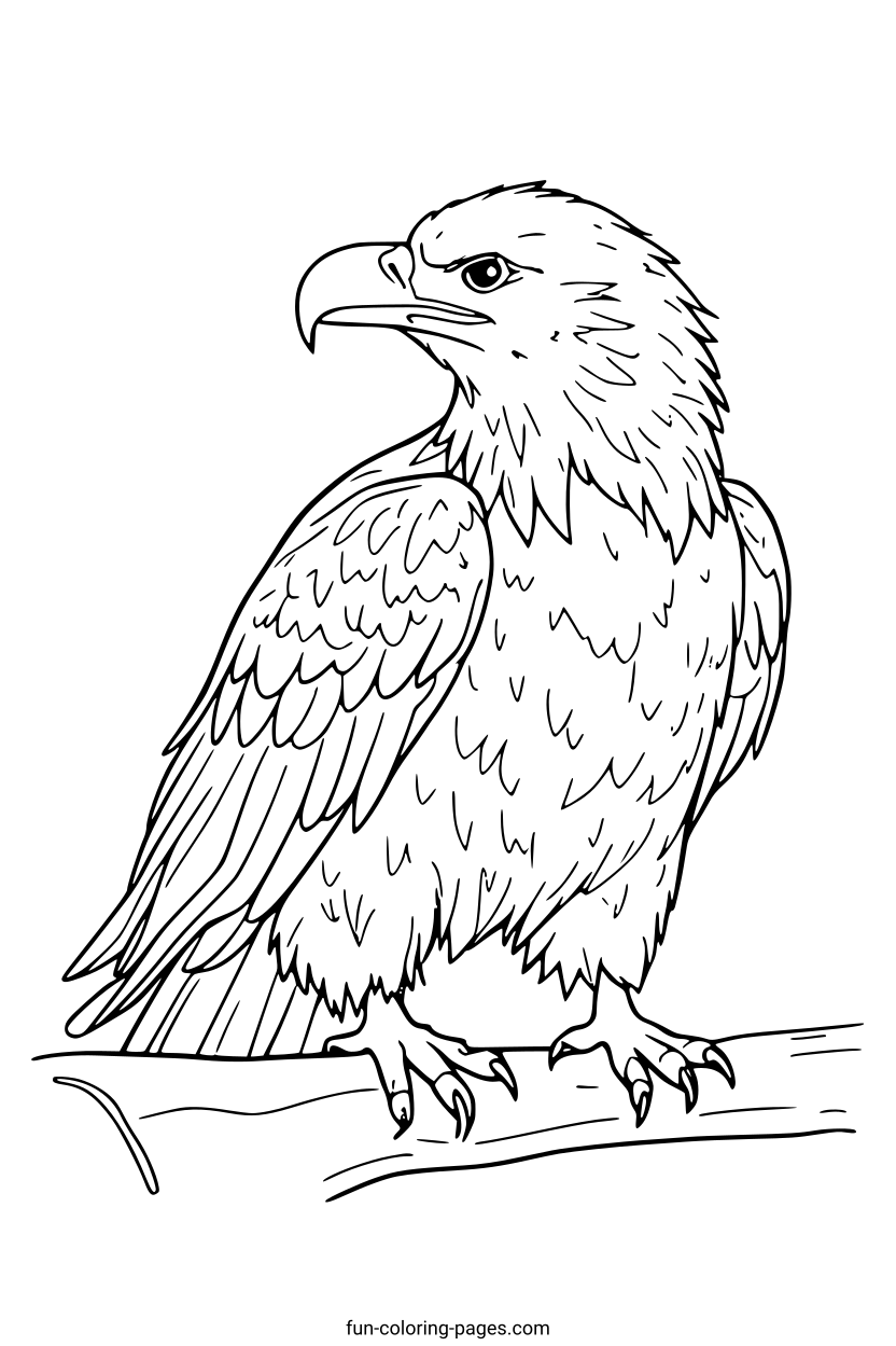 Bald Eagle on Branch – free printable coloring page, available as PDF and SVG