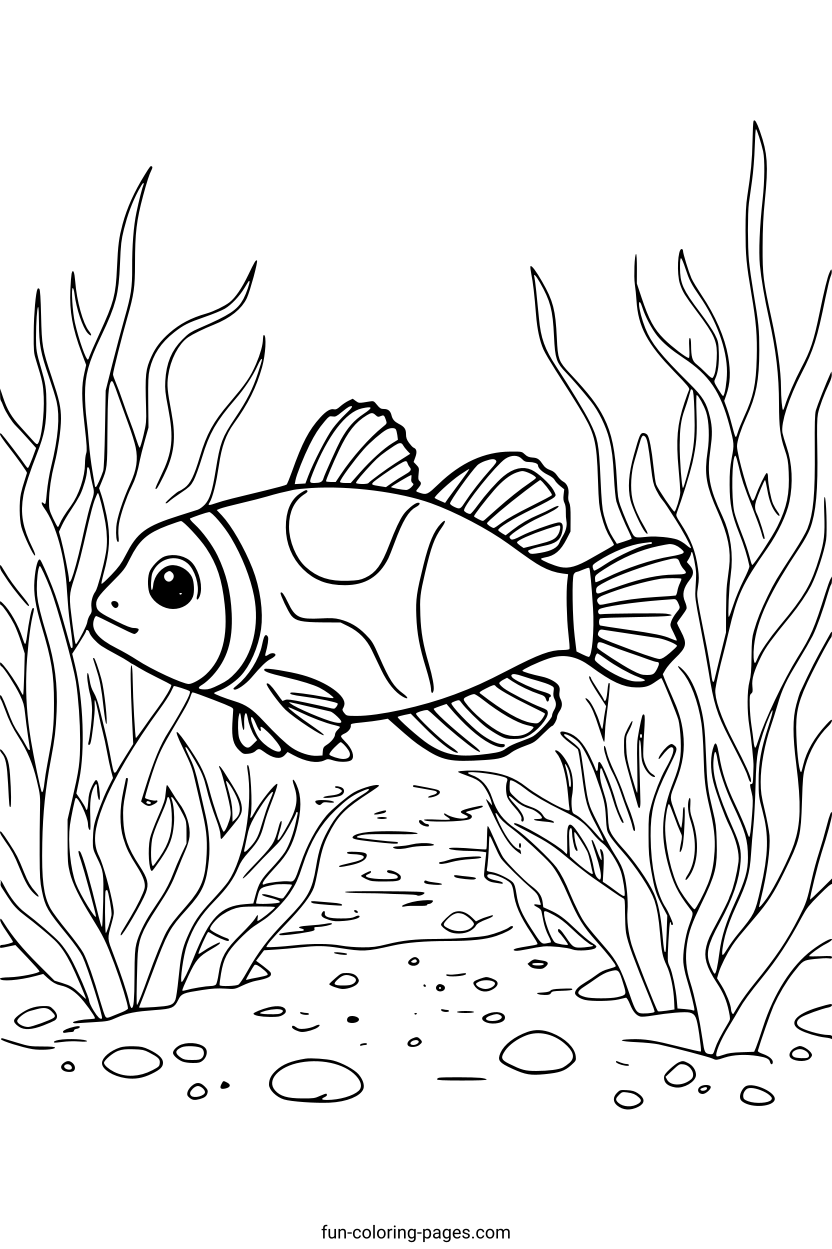 Clownfish Under Seaweed – free printable coloring page, available as PDF and SVG