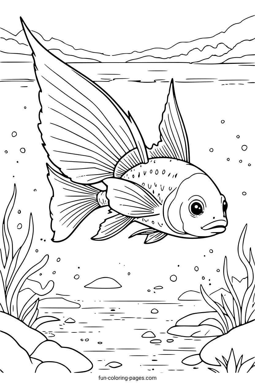 Colorful Tangs Fish – free printable coloring page, available as PDF and SVG