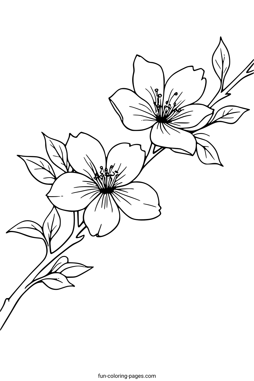 Delicate Blossom Branch – free printable coloring page, available as PDF and SVG
