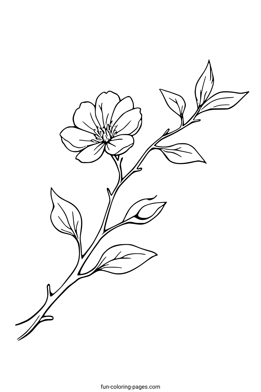 Delicate Floral Branch – free printable coloring page, available as PDF and SVG