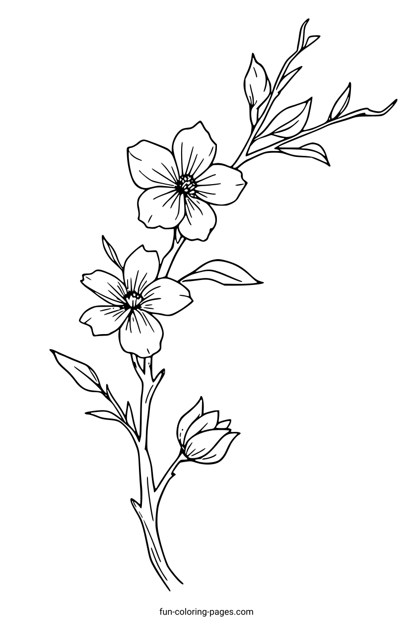 Delicate Flower Branch – free printable coloring page, available as PDF and SVG