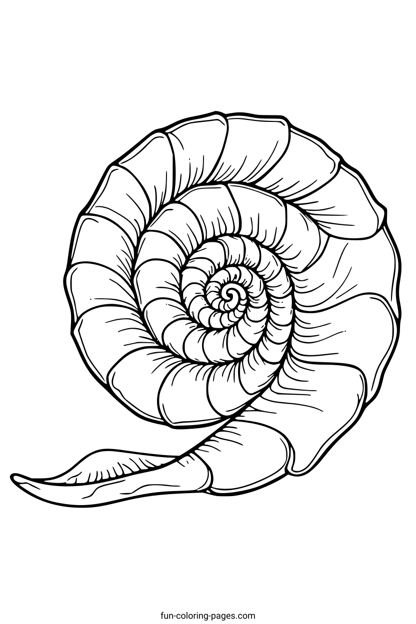 Detailed Ammonite – free printable coloring page, available as PDF and SVG