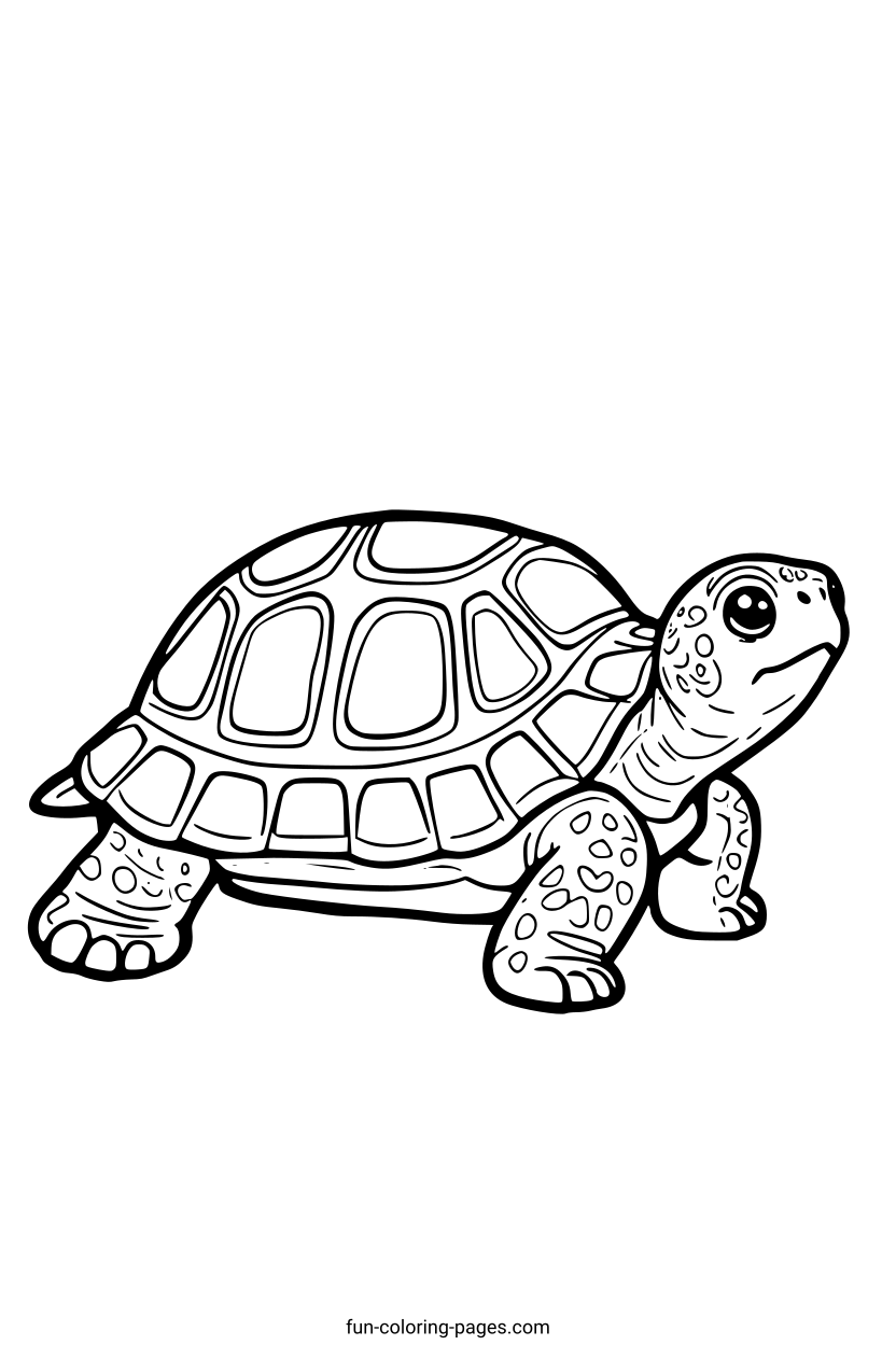 Detailed Sea Turtle – free printable coloring page, available as PDF and SVG