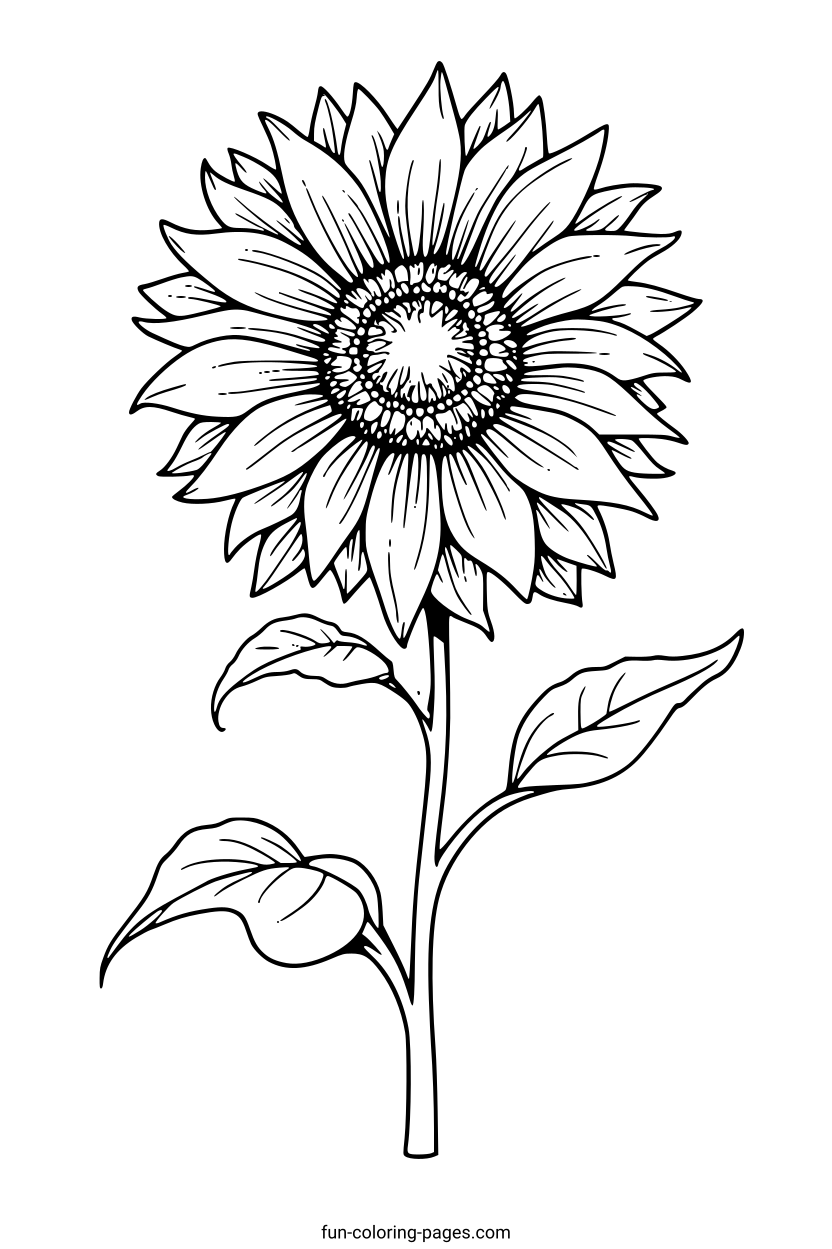 Detailed Sunflower Illustration – free printable coloring page, available as PDF and SVG