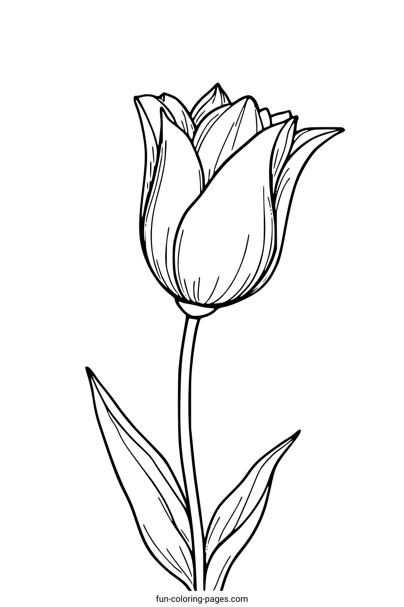 Detailed Tulip Flower – free printable coloring page, available as PDF and SVG