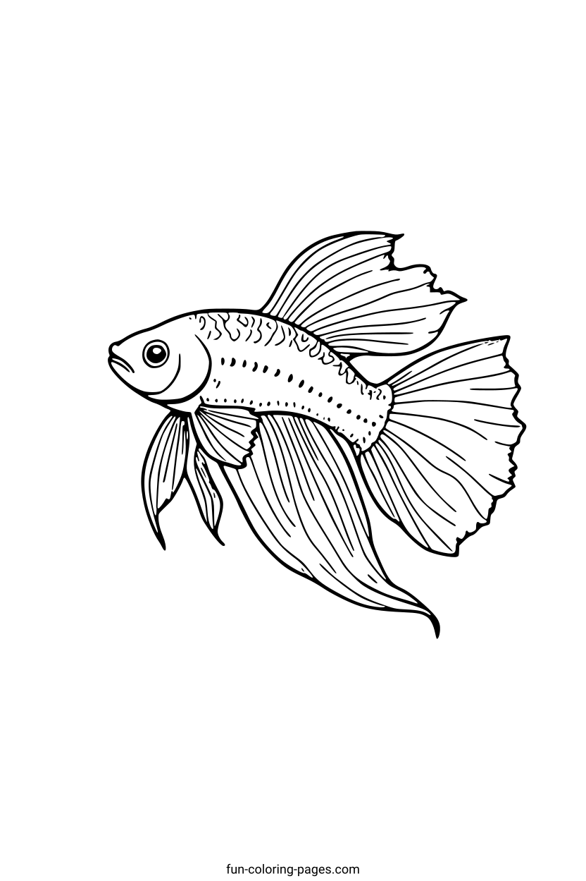 Elegant Betta Fish – free printable coloring page, available as PDF and SVG