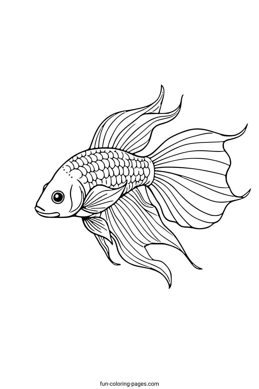 Elegant Betta Fish – free printable coloring page, available as PDF and SVG