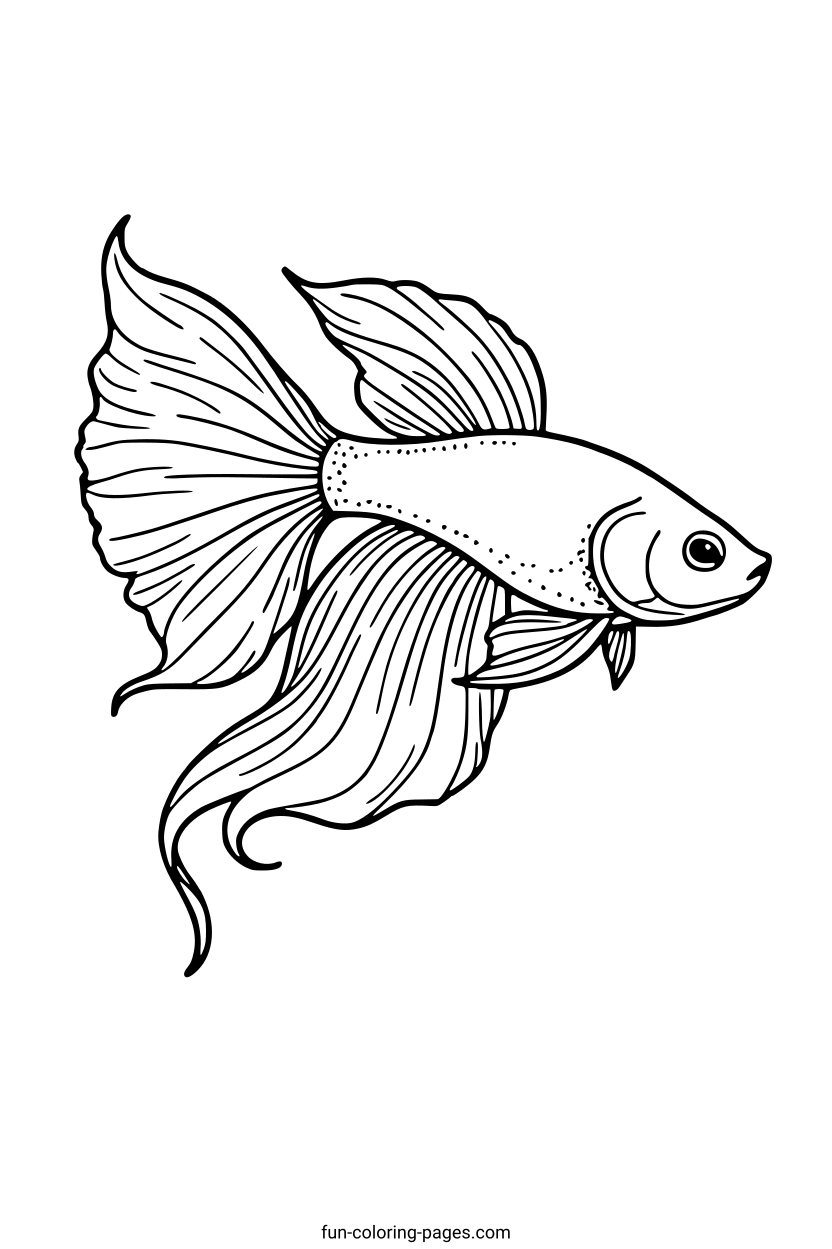 Elegant Betta Fish – free printable coloring page, available as PDF and SVG