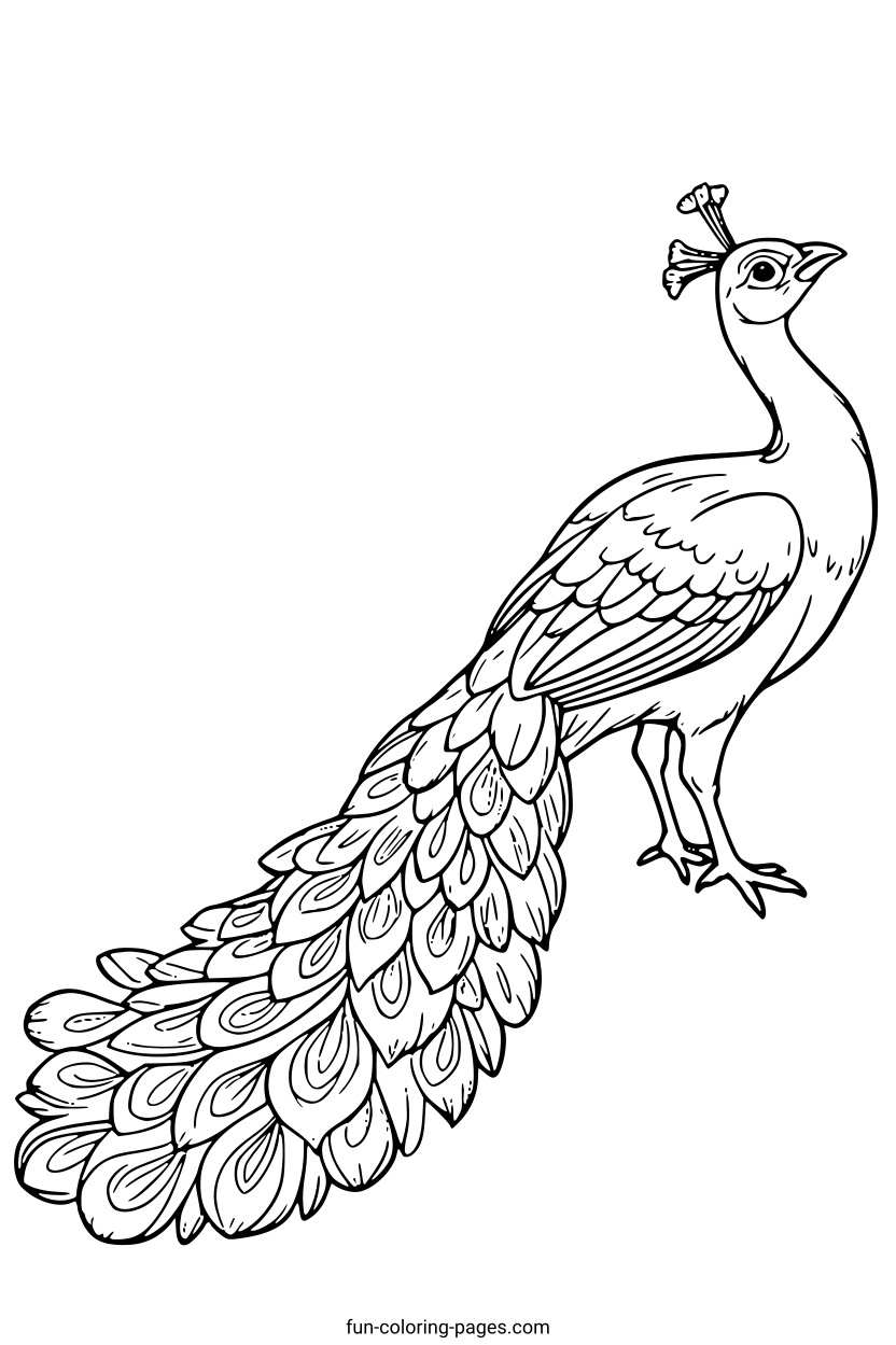 Elegant Peacock in Flight – free printable coloring page, available as PDF and SVG
