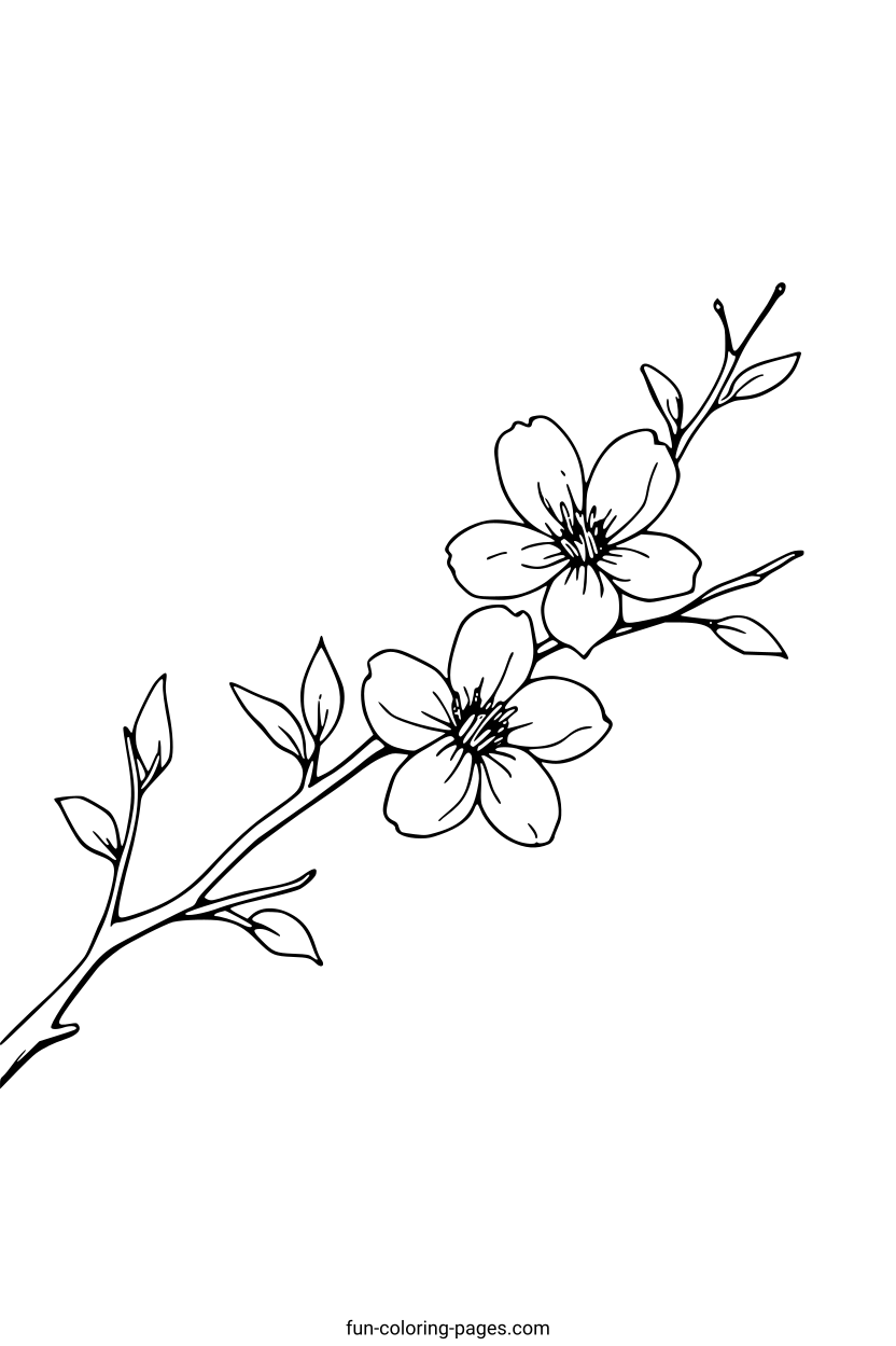 Elegant White Flower Branch – free printable coloring page, available as PDF and SVG