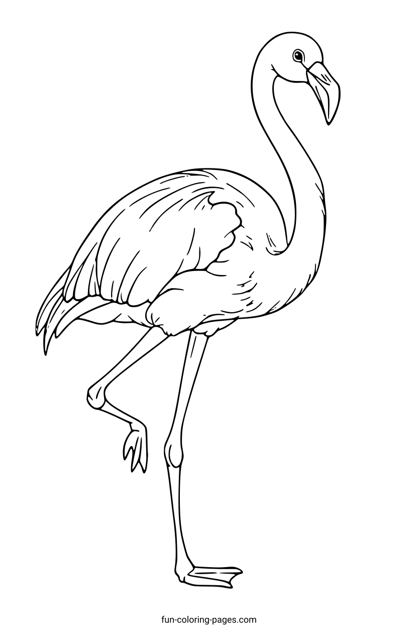 Graceful Flamingo Outline – free printable coloring page, available as PDF and SVG