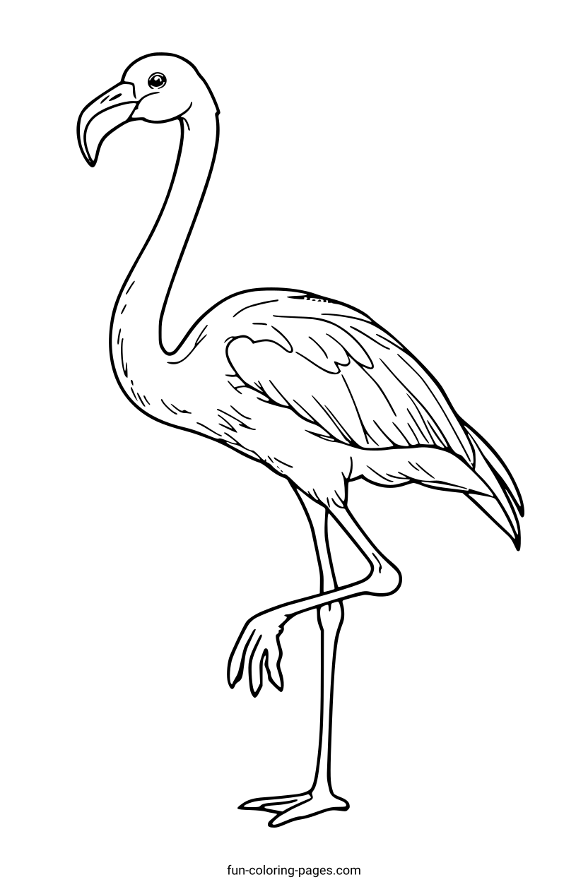 Graceful Flamingo Outline – free printable coloring page, available as PDF and SVG