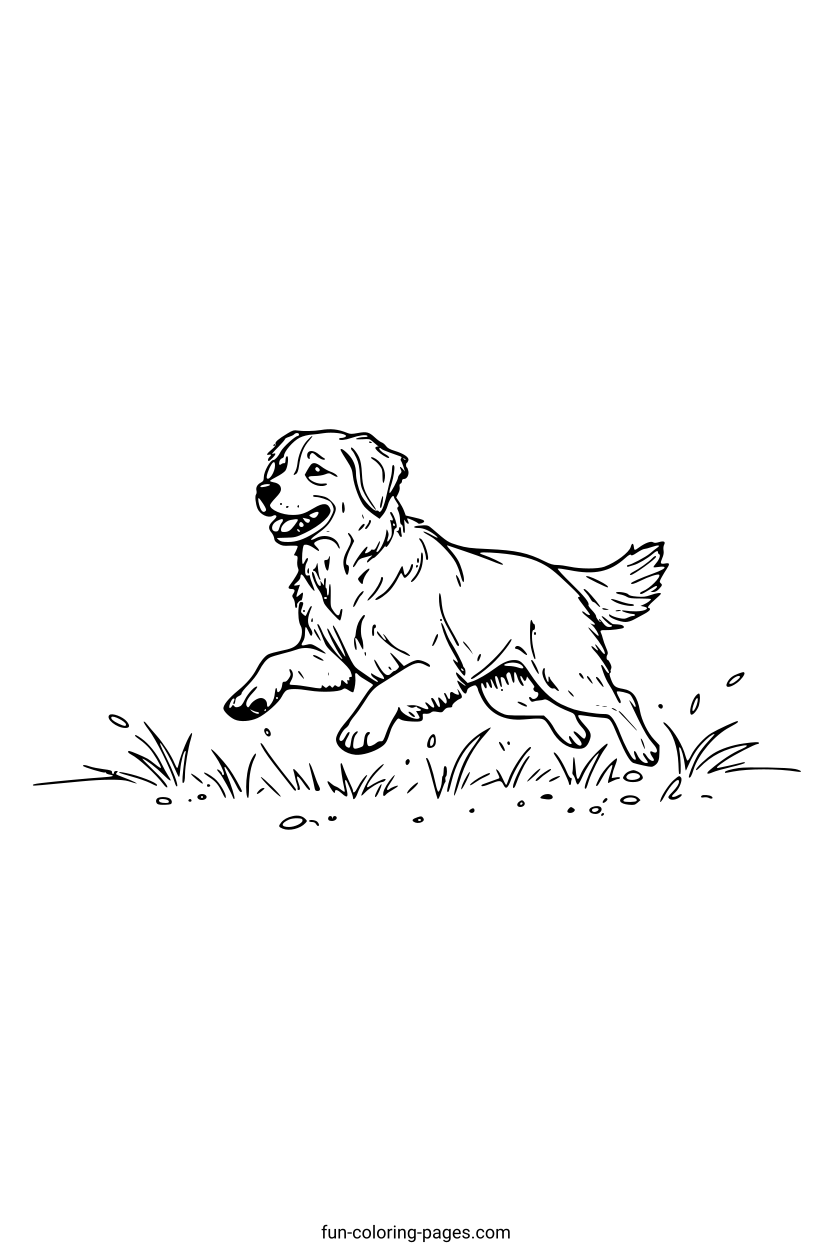 Happy Running Golden Retriever – free printable coloring page, available as PDF and SVG
