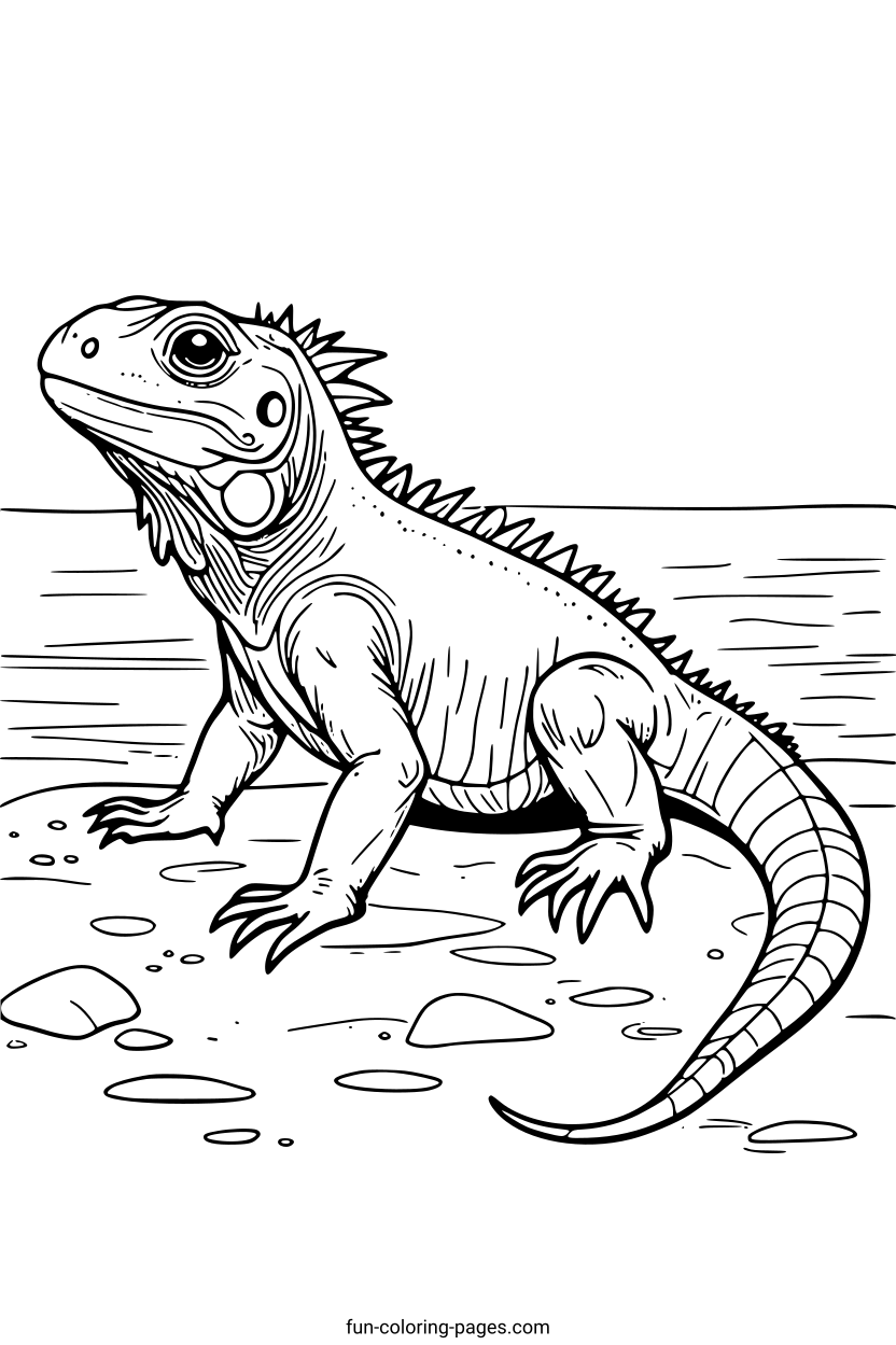 Iguana on Rocky Shore – free printable coloring page, available as PDF and SVG