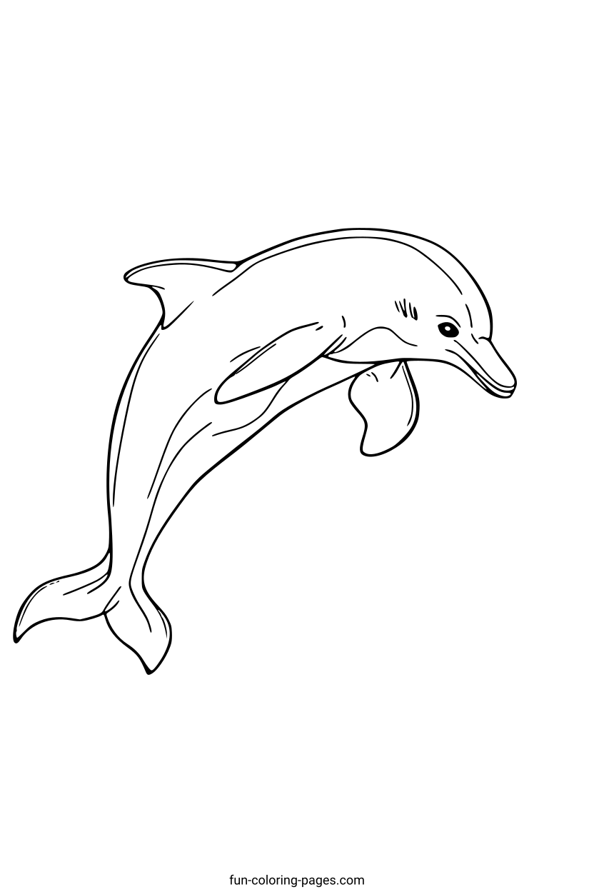 Leaping Dolphin in Flight – free printable coloring page, available as PDF and SVG