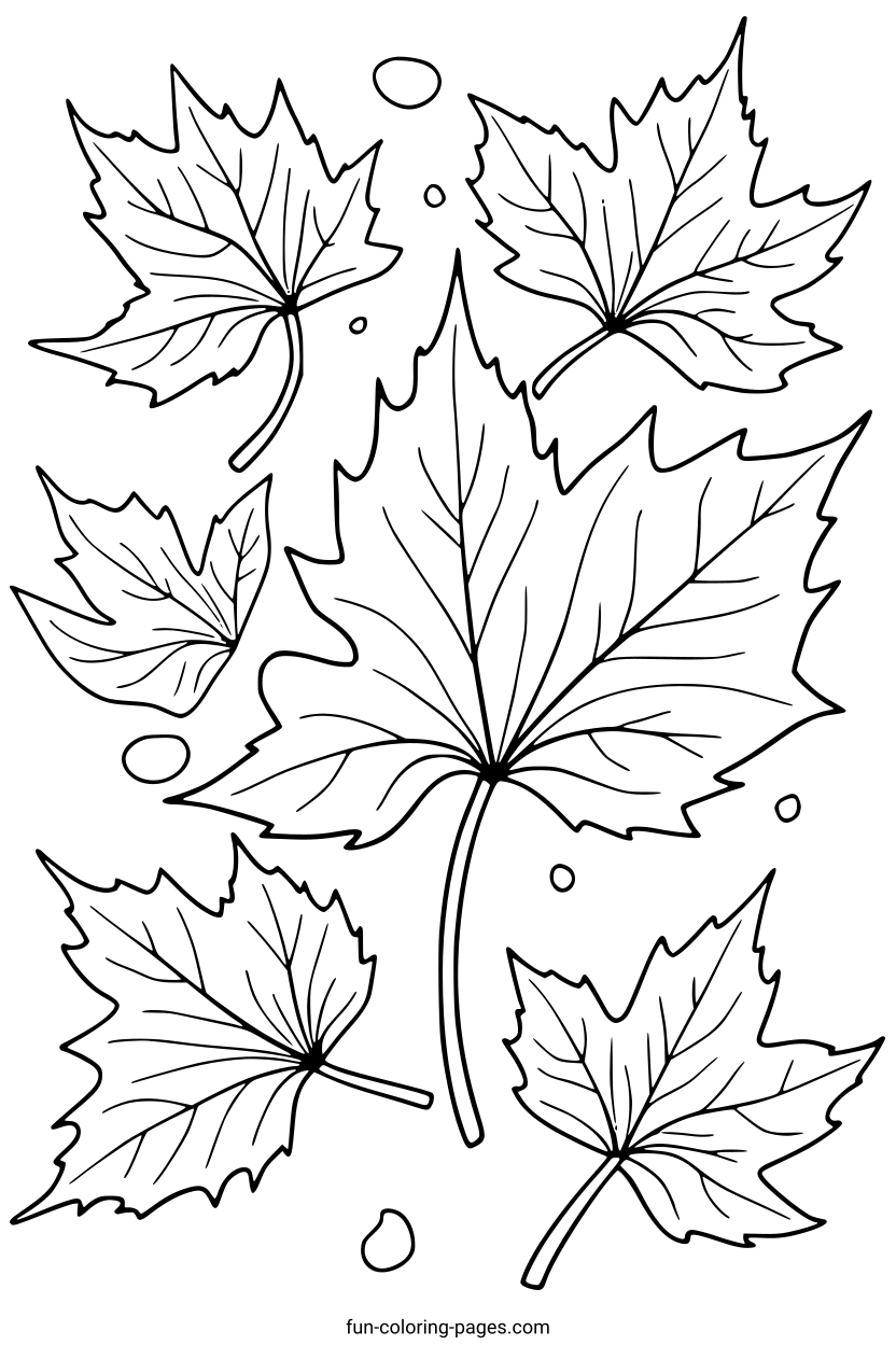 Maple Leaves with Water Drops – free printable coloring page, available as PDF and SVG
