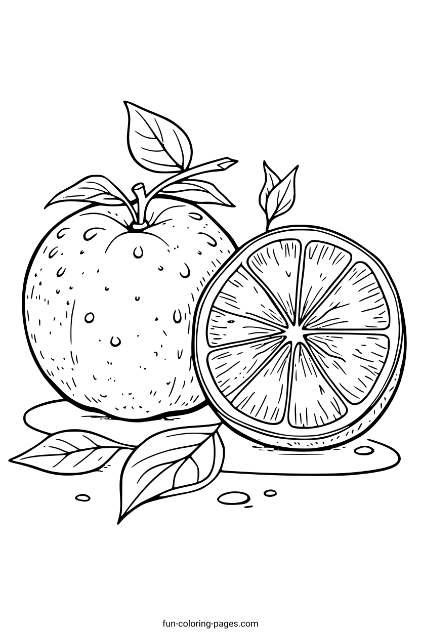 Orange Fruit and Slice – free printable coloring page, available as PDF and SVG