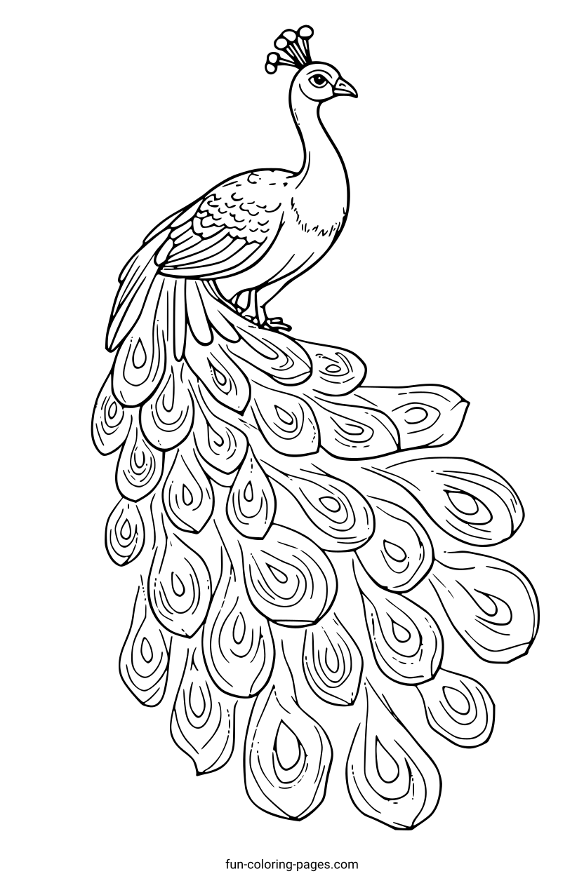 Peacock With Spread Tails – free printable coloring page, available as PDF and SVG