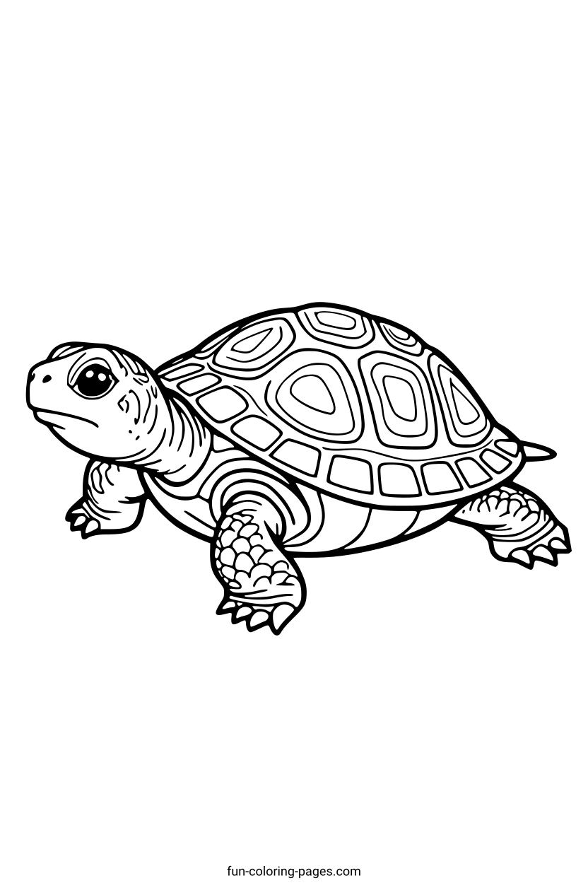 Sea Turtle – free printable coloring page, available as PDF and SVG