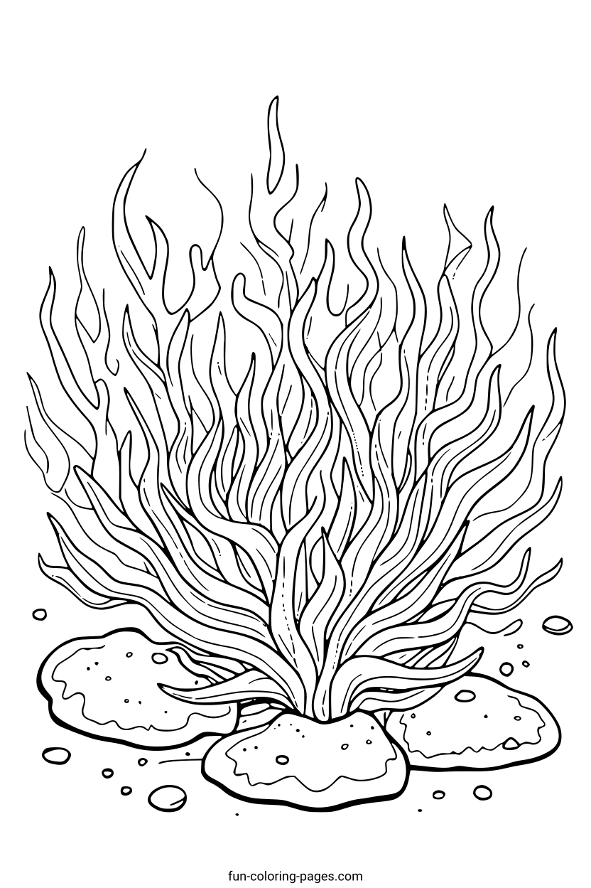 Seaweed Underwater Plant – free printable coloring page, available as PDF and SVG