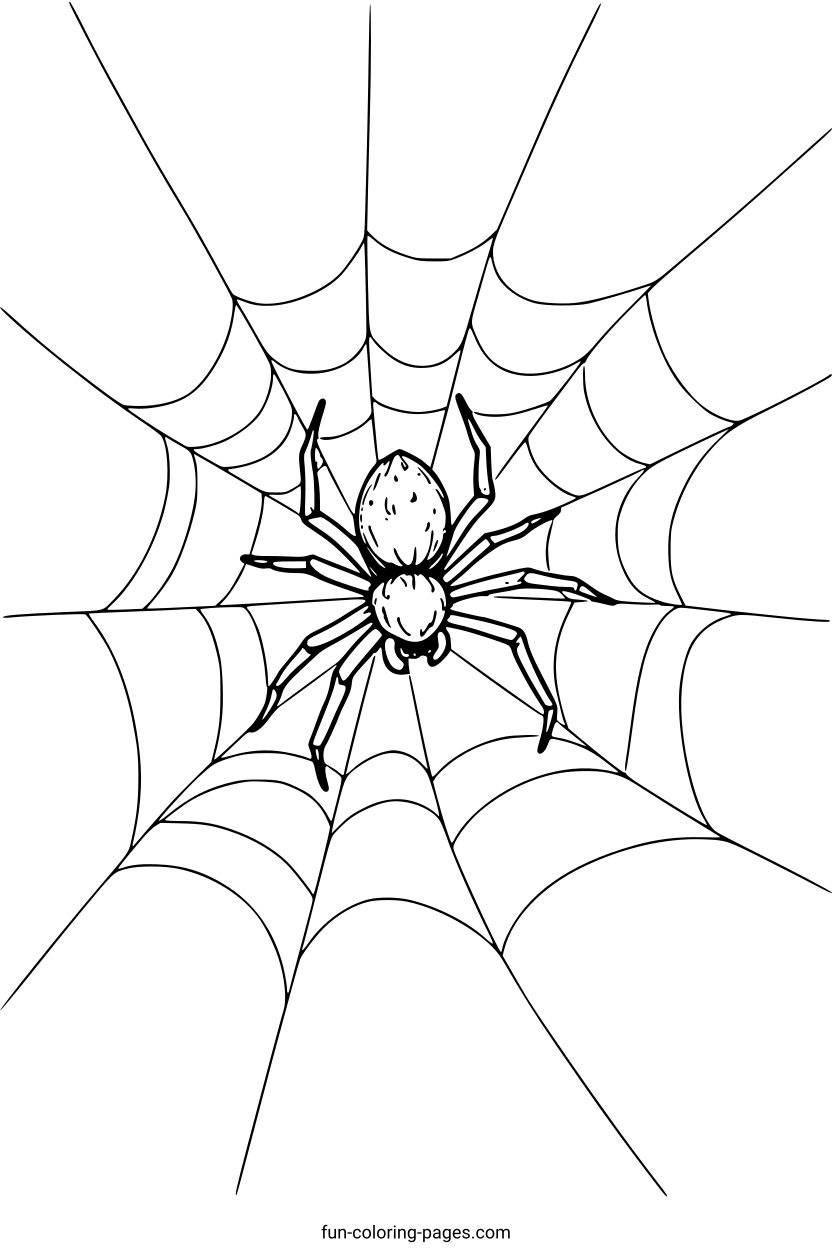 Spider On Web – free printable coloring page, available as PDF and SVG