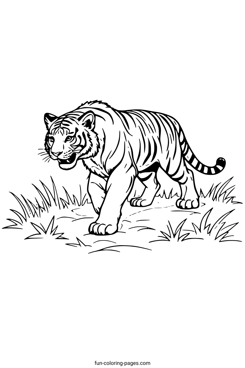 Tiger Walking in Grassland – free printable coloring page, available as PDF and SVG