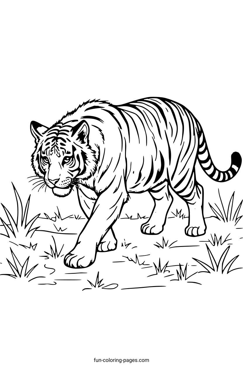Tiger Walking Through Grassland – free printable coloring page, available as PDF and SVG